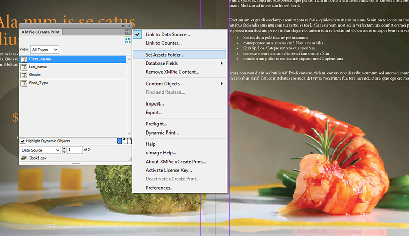 SelectSetAssetsFolder
